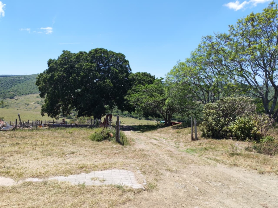 Commercial Property for Sale in Komga Rural Eastern Cape